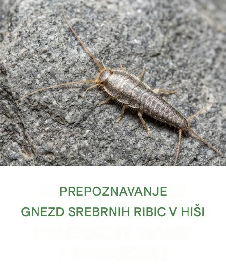 Te majhne srebrne žuželke vam pošiljajo sporočilo: tukaj je opisano, kako ga dešifrirati in ukrepati