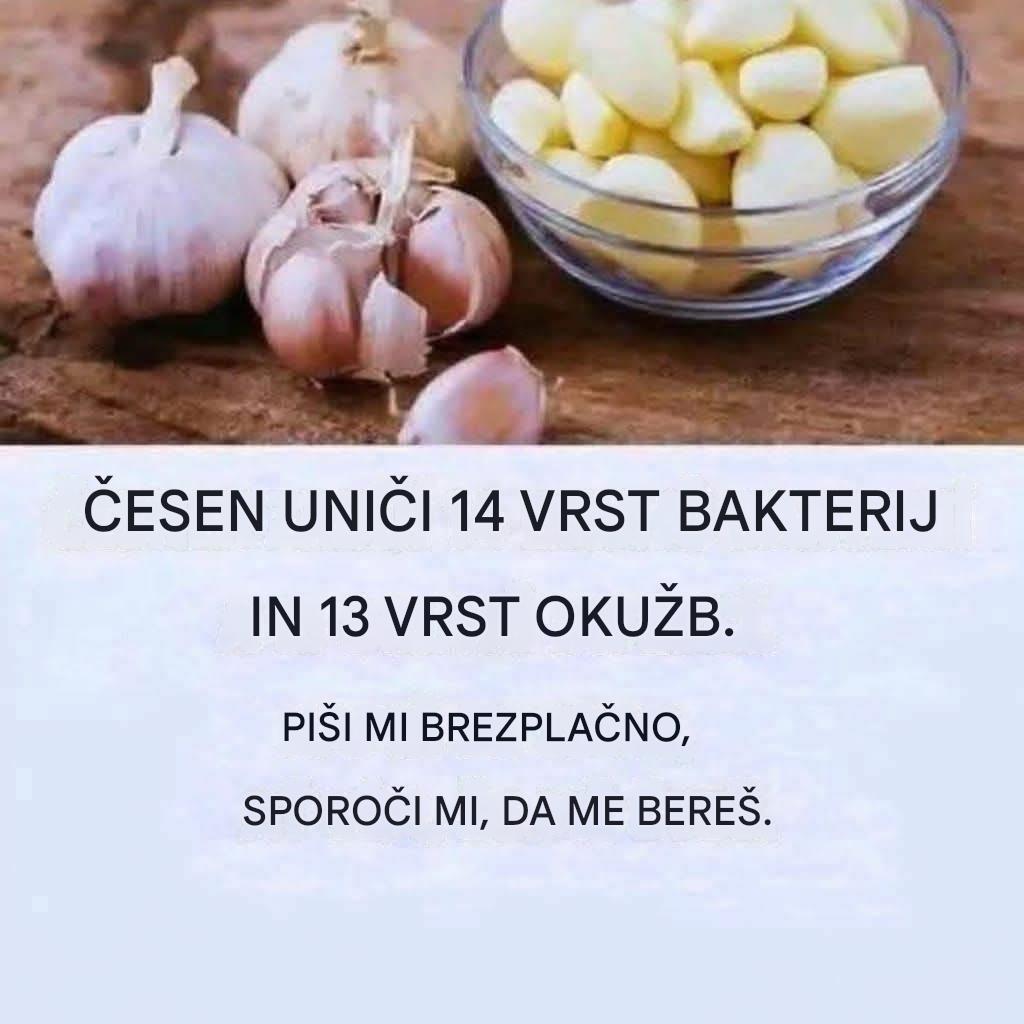 ČESNEK ZABÍJÍ 14 DRUHŮ BAKTERIÍ A 13 DRUHŮ INFEKCÍ