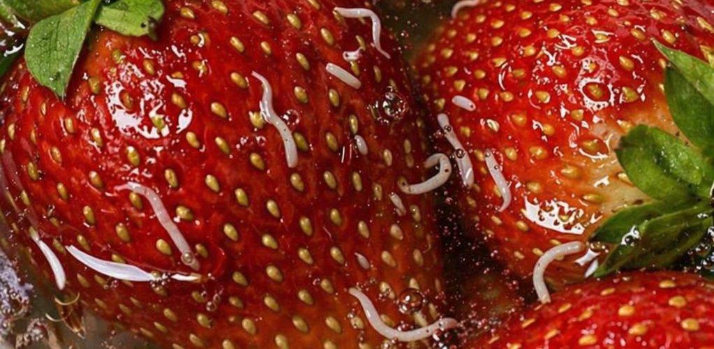 🍓Jagode sem namočila v slani vodi … in iz njih so začele iti te bele stvari!😳👇
