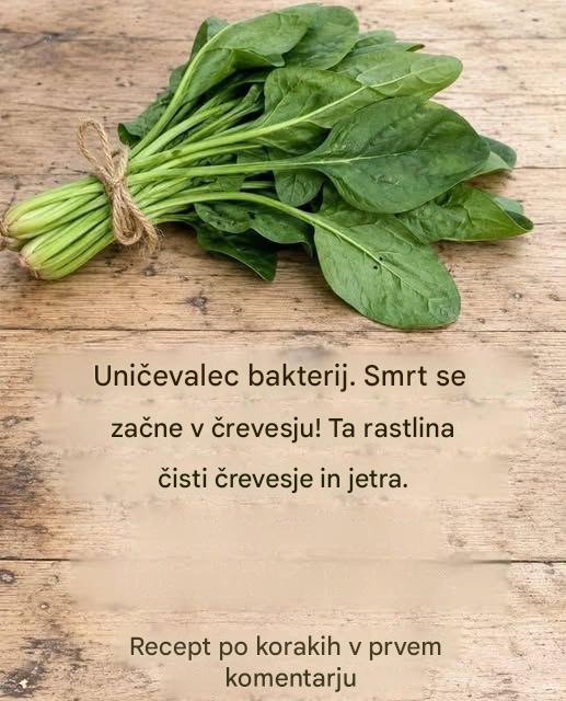 Imenuje se ubijalec bakterij. Več o tem.
