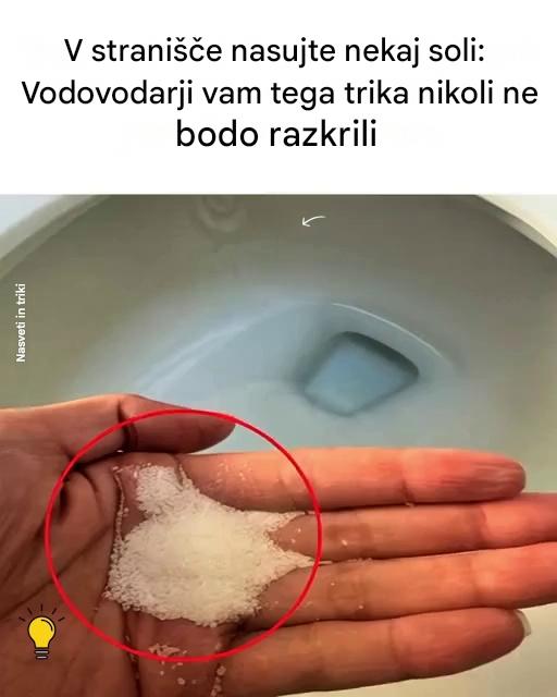 Kuhinjska sol, malo znana skrivnost za bleščeče čiste stranišča