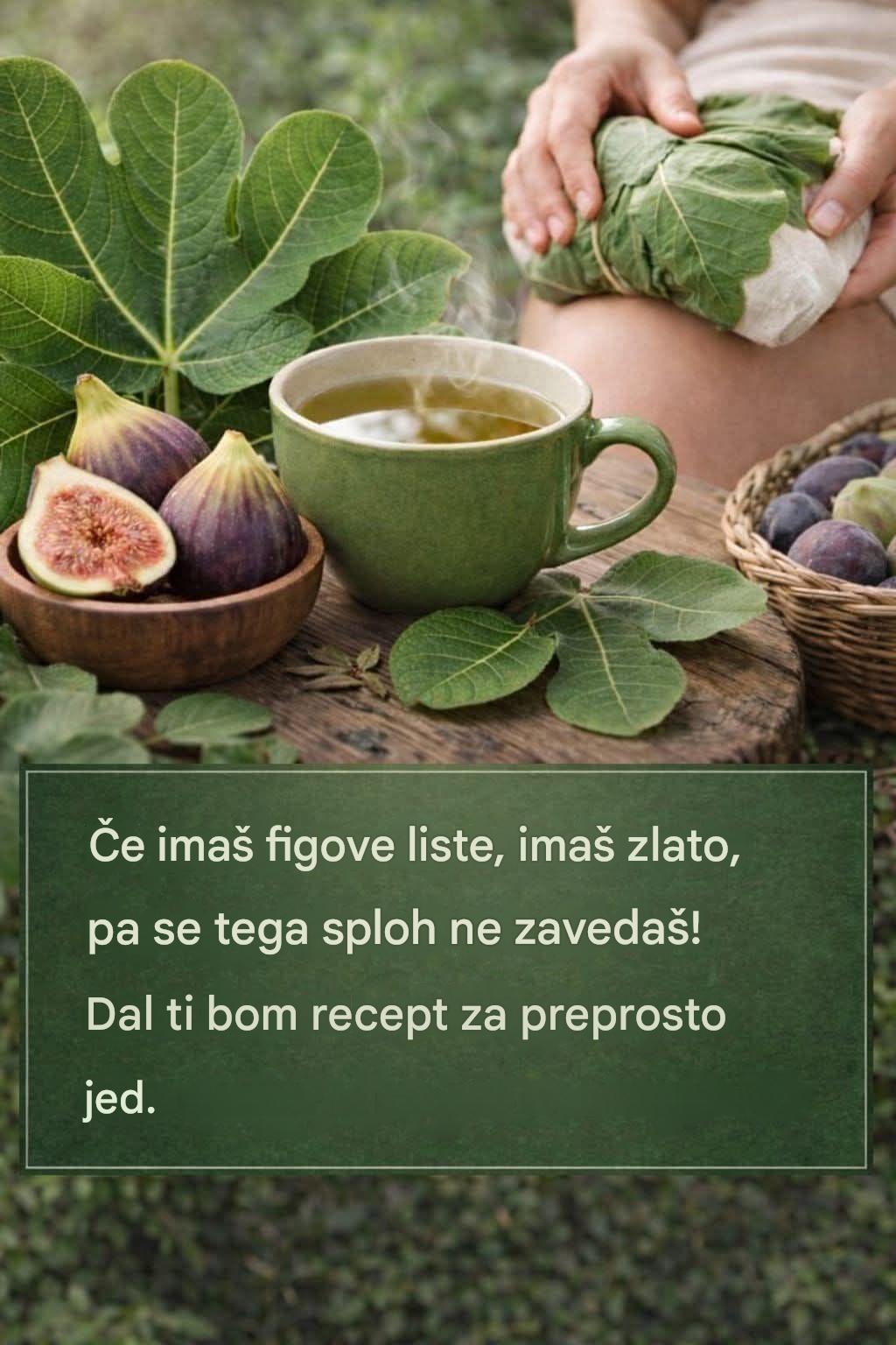 Moč figovih listov: njihove skrite koristi
