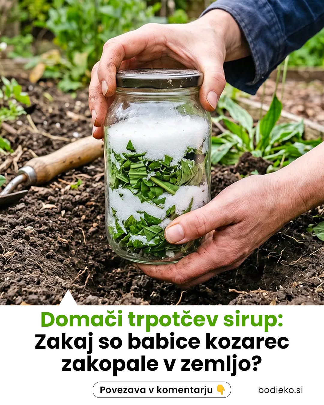 Kako izdelamo Trpotčev sirup po starem postopku