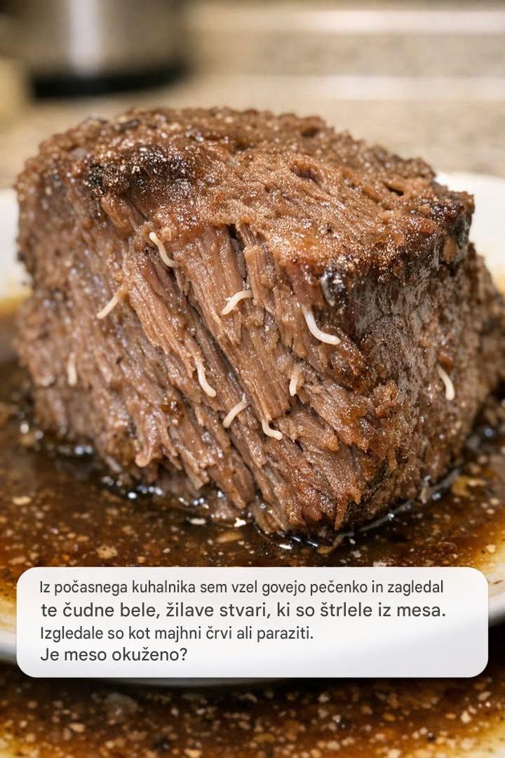 Iz počasnega kuhalnika sem vzel govejo pečenko in zagledal te čudne bele, nitaste stvari, ki so štrlele iz mesa. Izgledale so kot majhni črvi ali paraziti. Je meso okuženo?