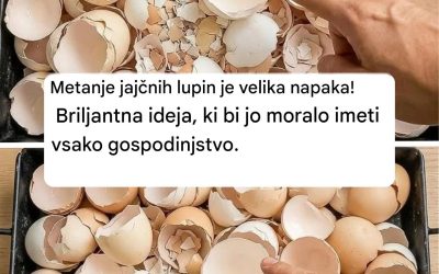 Metanje jajčnih lupin je velika napaka! Briljantna ideja, ki bi jo moralo imeti vsako gospodinjstvo.