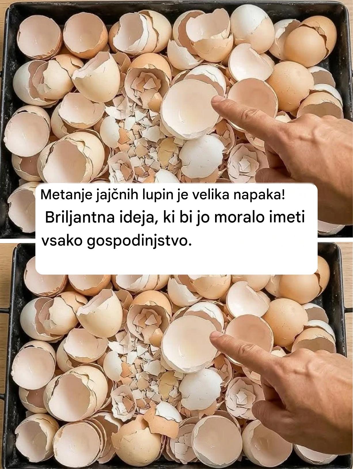 Metanje jajčnih lupin je velika napaka! Briljantna ideja, ki bi jo moralo imeti vsako gospodinjstvo.