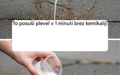 To posuši plevel v 1 minuti brez kemikalij!