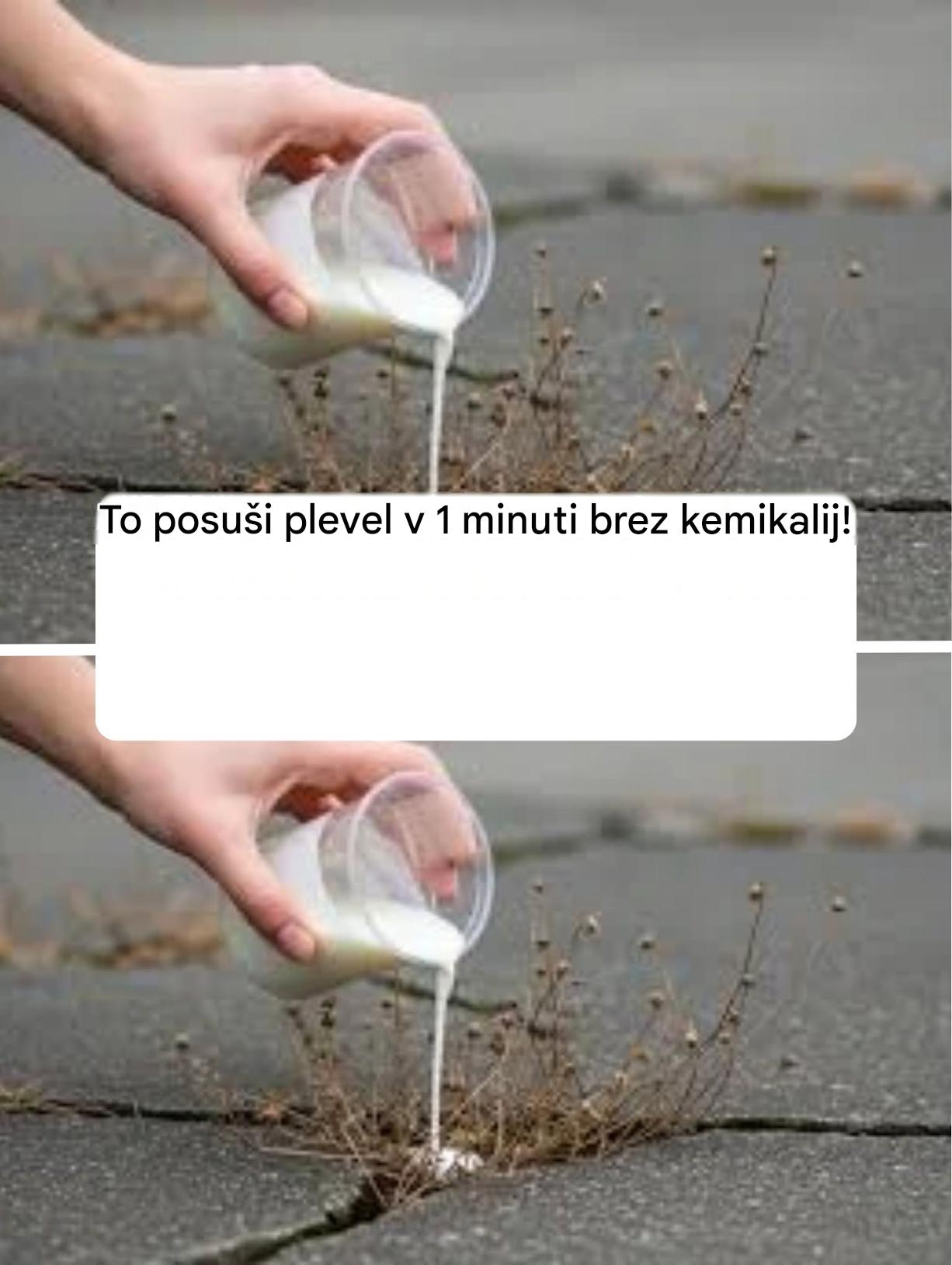 To posuši plevel v 1 minuti brez kemikalij!