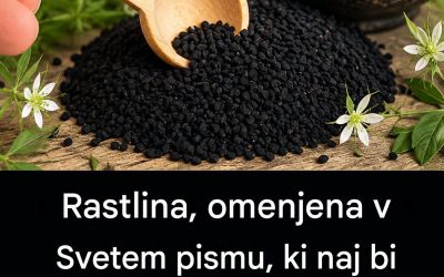 Rastlina, omenjena v Svetem pismu, ki naj bi zdravila vse bolezni