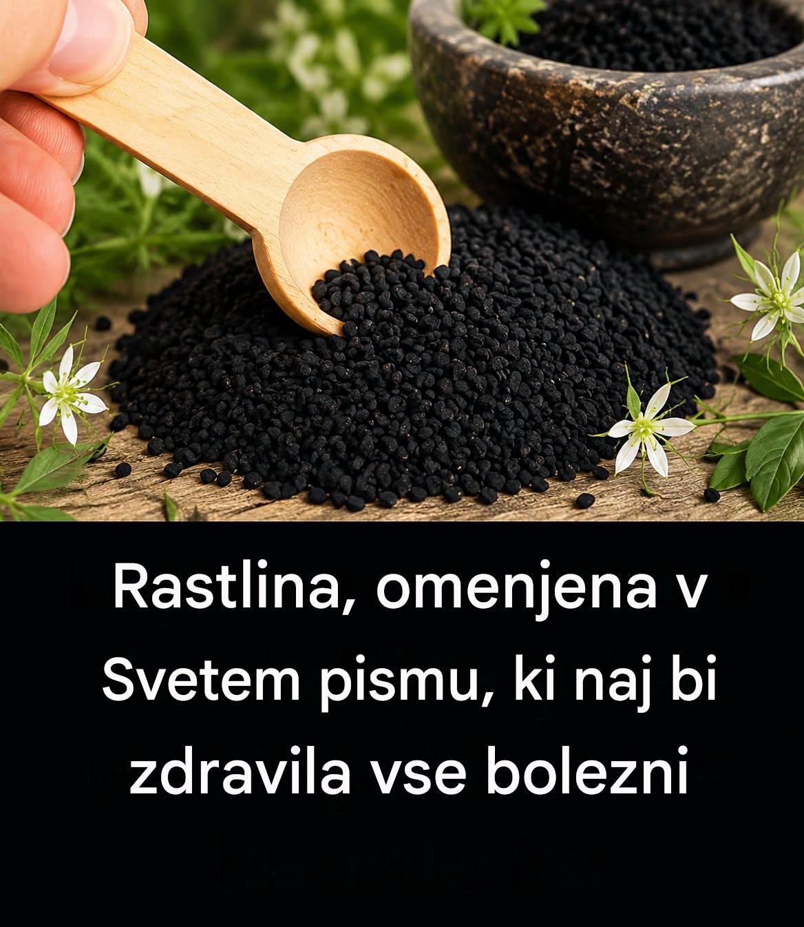 Rastlina, omenjena v Svetem pismu, ki naj bi zdravila vse bolezni