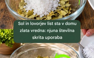 Sol in lovorjev list sta doma vredni zlata: tukaj je njuna številna domiselna uporaba.