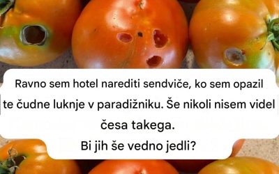 Kaj pomeni, če v paradižniku vidite te luknje (in kako elegantno rešiti svoj pridelek)