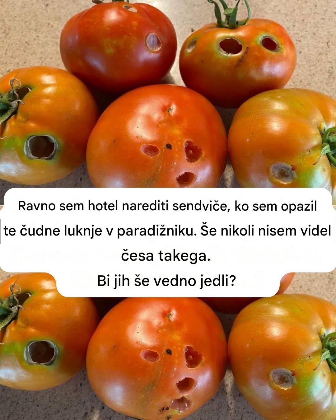 Kaj pomeni, če v paradižniku vidite te luknje (in kako elegantno rešiti svoj pridelek)