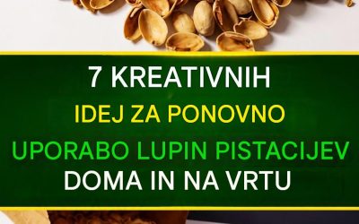 7 ustvarjalnih načinov uporabe pistacijevih lupin v vašem domu in vrtu