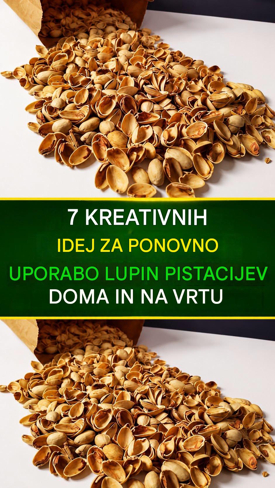 7 ustvarjalnih načinov uporabe pistacijevih lupin v vašem domu in vrtu