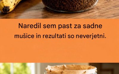 Domače pasti za muhe: 4 učinkovite naravne metode za dom brez muh